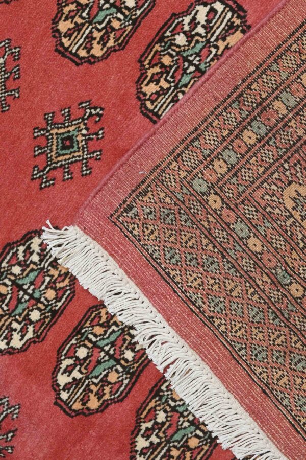 Pakistan Bokhara Rug 265cm x 187cm / 8ft 8in x 6ft 2in - Image 5